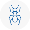 Ant Removals In Steyning