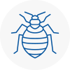 Bed Bug Extermination In Steyning