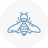 Bee Nest Removal Steyning