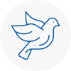 Bird Prevention Steyning