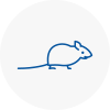 Mice Exterminators In Steyning