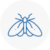 Moth Control Specialists In Steyning
