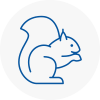 Steyning Rodent Removals